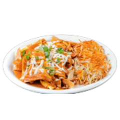 Crunchy Chicken Enchilada
