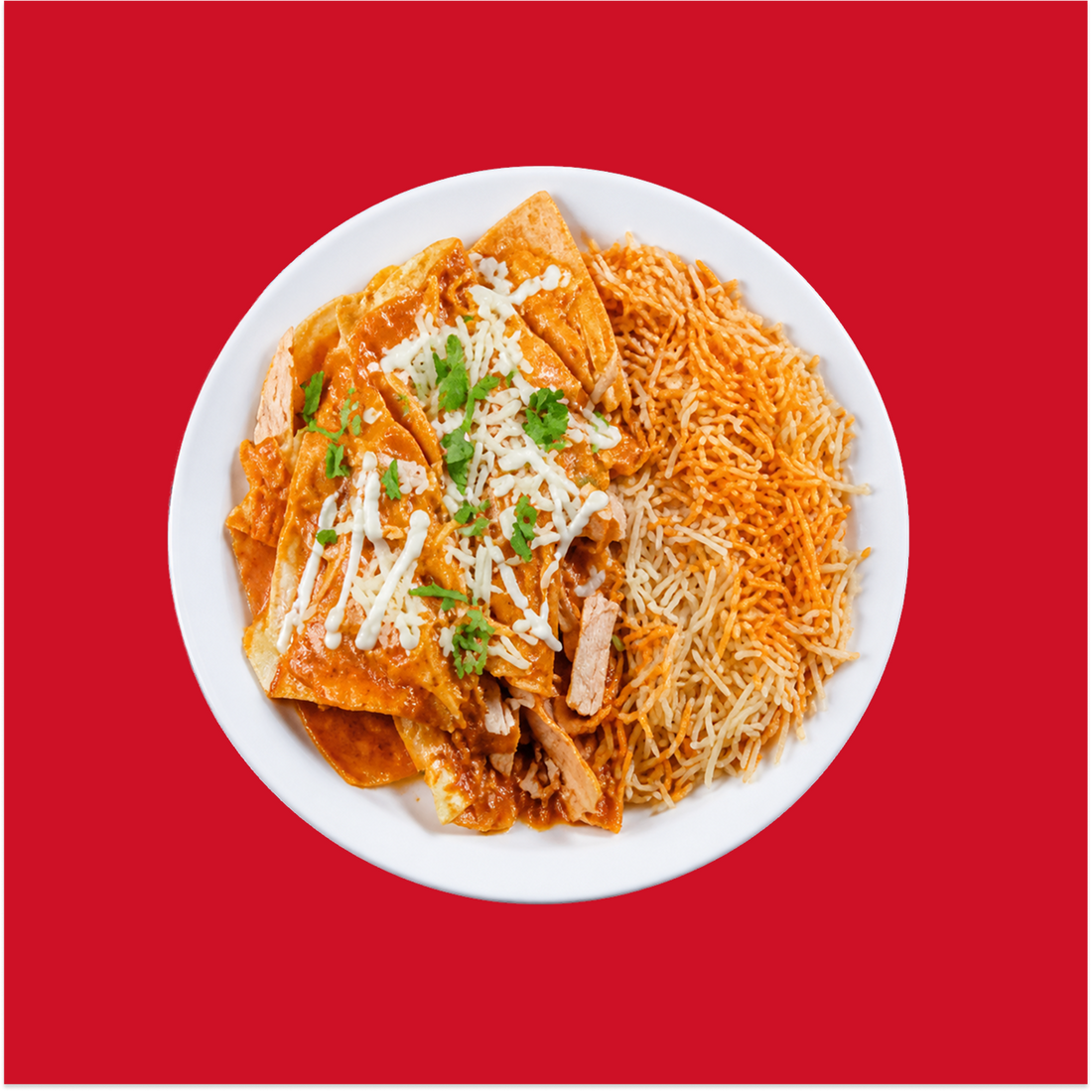 Crunchy Chicken Enchilada